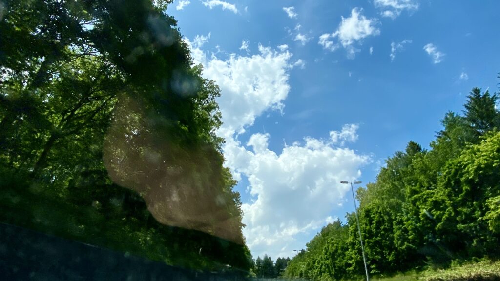 森林を抜ける道沿いの青空
